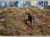 01-04-2012_novy_prachaticky_tunel