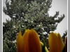 08-04-2012_kdyz_se_zima_nechce_vzdat